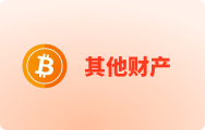 其他财产